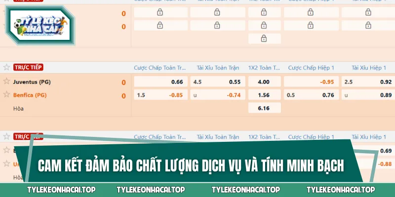 Các cam kết liên quan đến chất lượng dịch vụ và minh bạch