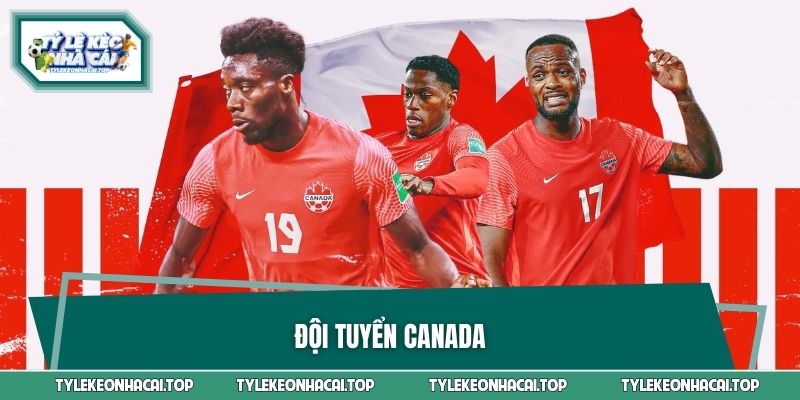 Đội Tuyển Canada - Khát Vọng Vươn Mình Tại World Cup 2026
